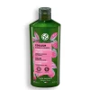 Color-Shampoo