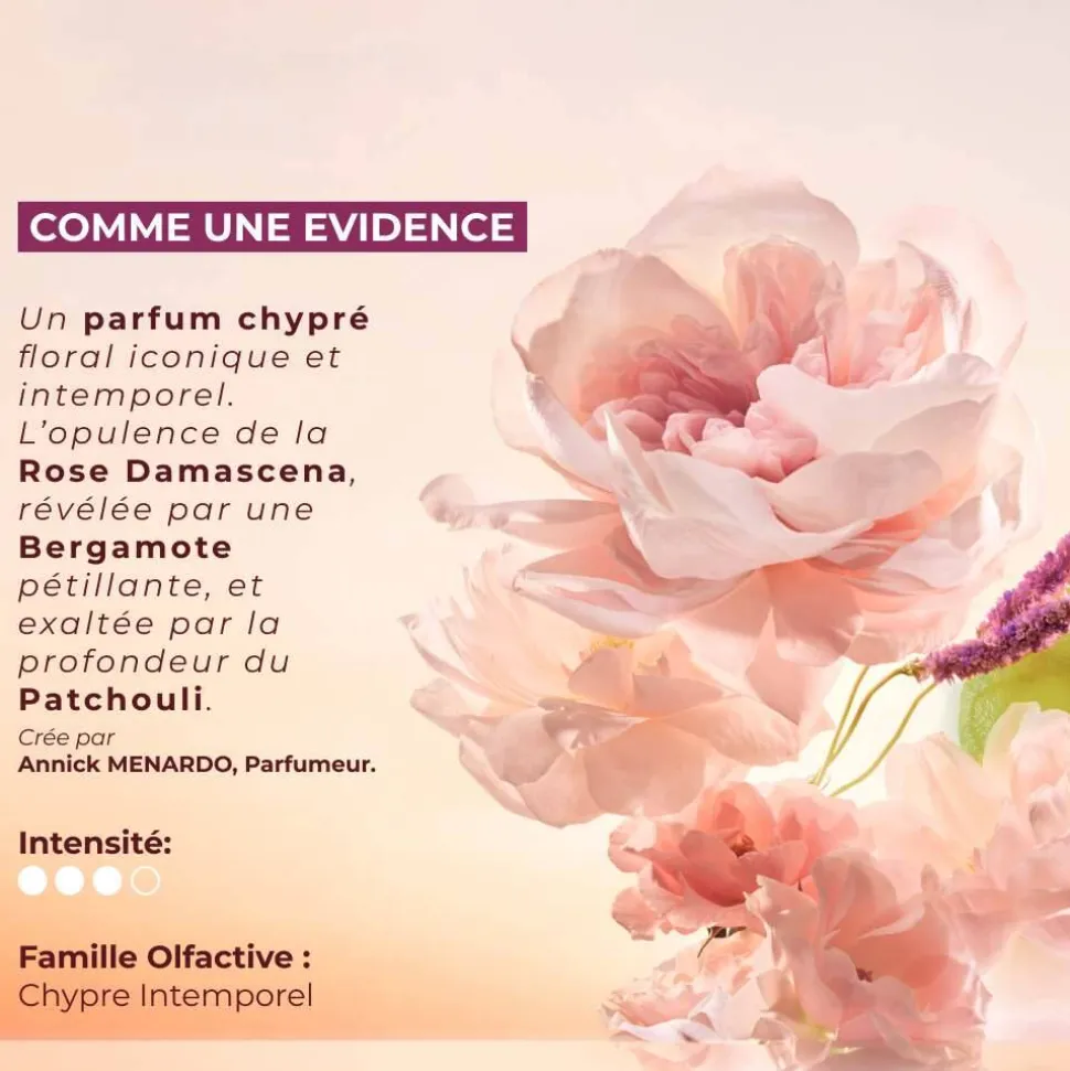 Geschenkbox Comme une Evidence