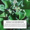 Konzentrat mit Doppelwirkung
