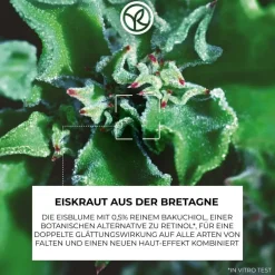 Konzentrat mit Doppelwirkung
