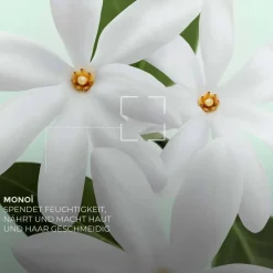 Monoi Handcreme-Set