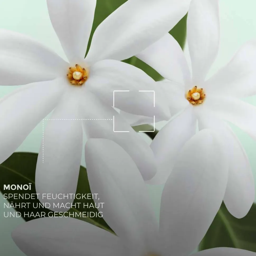 Monoi Handcreme-Set