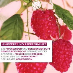 Nachfüllpack Duschgel Himbeere & Pfefferminze