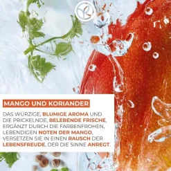 Nachfüllpack Duschgel Mango & Koriander