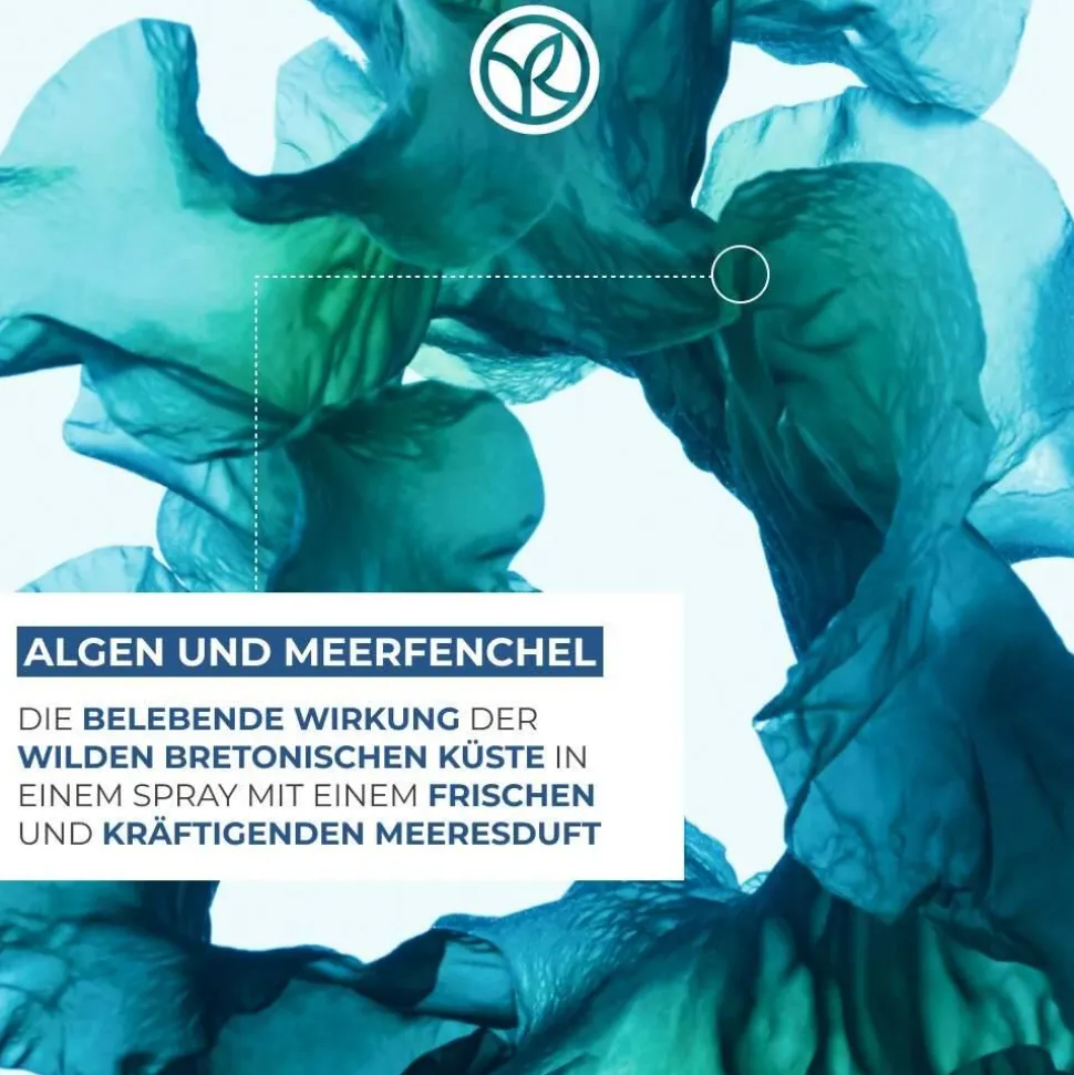 Nachfüllpack Duschgel Wildalge & Meerfenchel