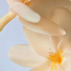 Reinigendes Handgel Monoi ohne abspülen