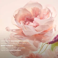 Set Comme Une Évidence – Eau de Parfum & Duschgel