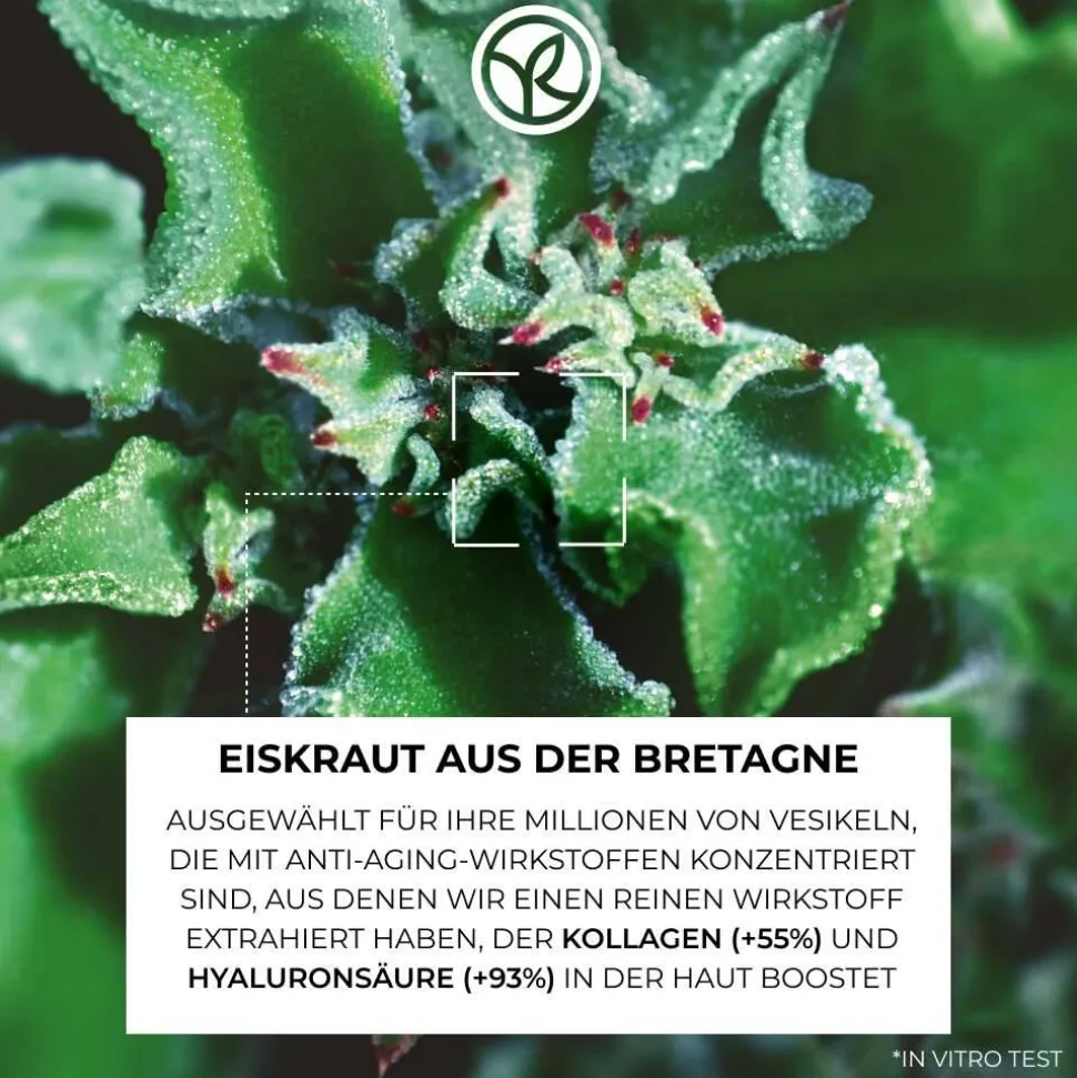 Straffende Anti-Falten-Nachtcreme